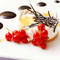 Köstliche Dessert Deko Ideen: Ein cremiges Törtchen mit roten Johannisbeeren, Schokostäbchen und Zuckerguss auf weißem Teller.