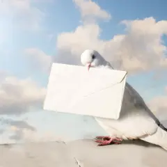Weiße Taube mit Briefumschlag im Schnabel, fliegt vor blauem Himmel mit Wolken. Was bedeutet pn? Vielleicht eine geheime Nachricht.