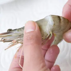Hände halten eine rohe Garnele, bereit, sie mit Schale zu essen.
