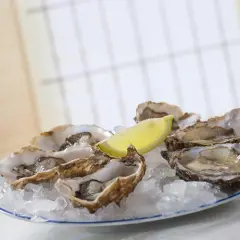 Frische Austern auf Eis mit Zitronenspalte. Die Frage, wie viele Austern man essen darf, bleibt offen.