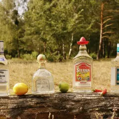 Vier Flaschen Tequila (Jose Cuervo, Patron, Sierra, Olmeca) mit Limetten, Chilis und Chips auf einem Baumstamm. So lässt sich Tequila richtig trinken.