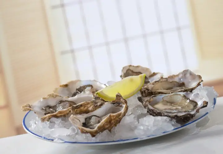 Frische Austern auf Eis mit Zitronenspalte. Die Frage, wie viele Austern man essen darf, bleibt offen.