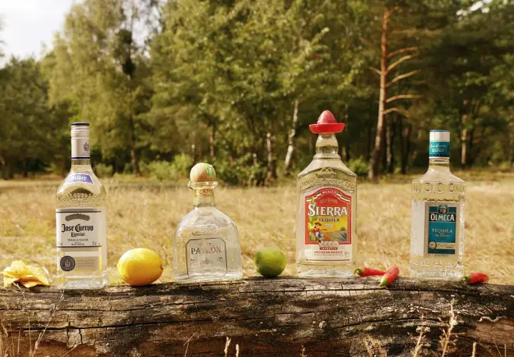 Vier Flaschen Tequila (Jose Cuervo, Patron, Sierra, Olmeca) mit Limetten, Chilis und Chips auf einem Baumstamm. So lässt sich Tequila richtig trinken.