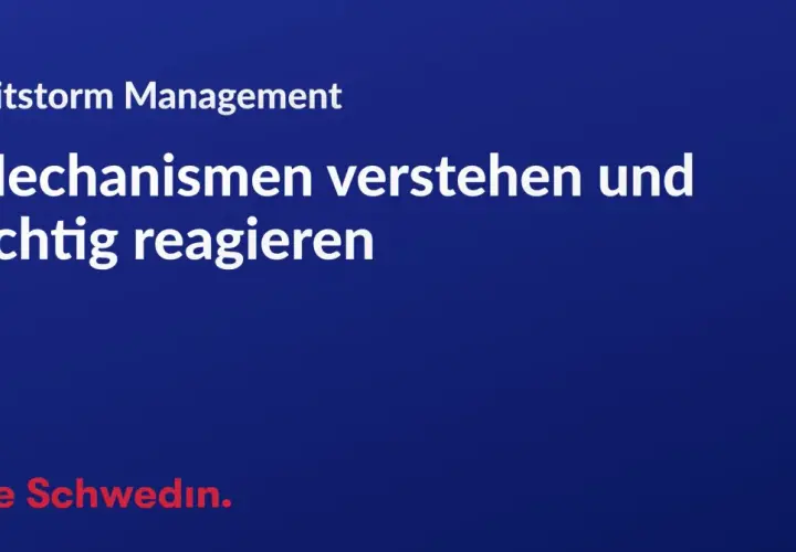 Shitstorm Management: Mechanismen verstehen und richtig reagieren. Ein Leitfaden, um den Sturm zu überstehen.
