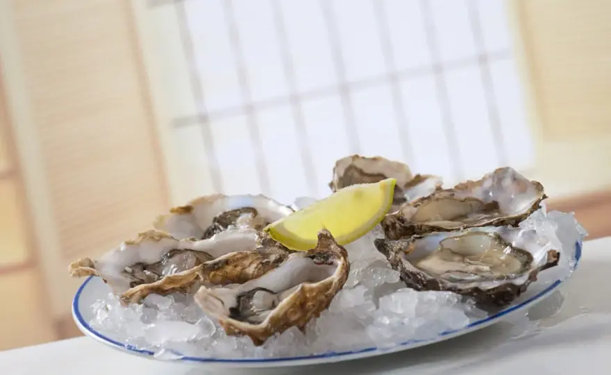 Wie viele Austern essen? Die perfekte Menge für Genuss