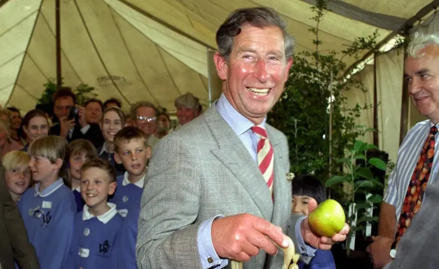 Glen Plaid – So tragen Sie den Prince-of-Wales-Check heute