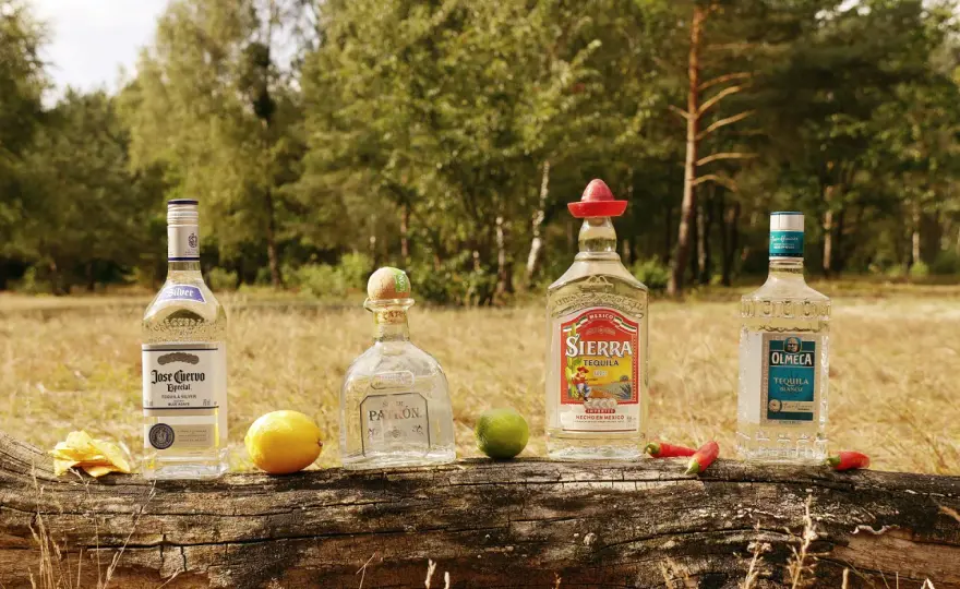 Tequila richtig trinken - Dein Guide für echten Agaven-Genuss