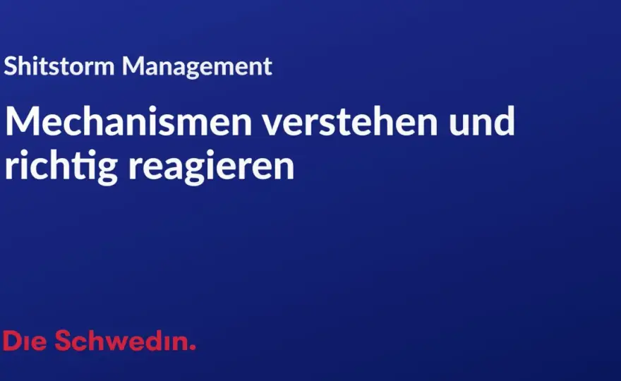 Shitstorm - Verstehen, vermeiden & souverän reagieren