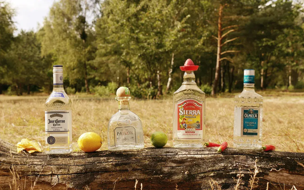 Vier Flaschen Tequila (Jose Cuervo, Patron, Sierra, Olmeca) mit Limetten, Chilis und Chips auf einem Baumstamm. So lässt sich Tequila richtig trinken.