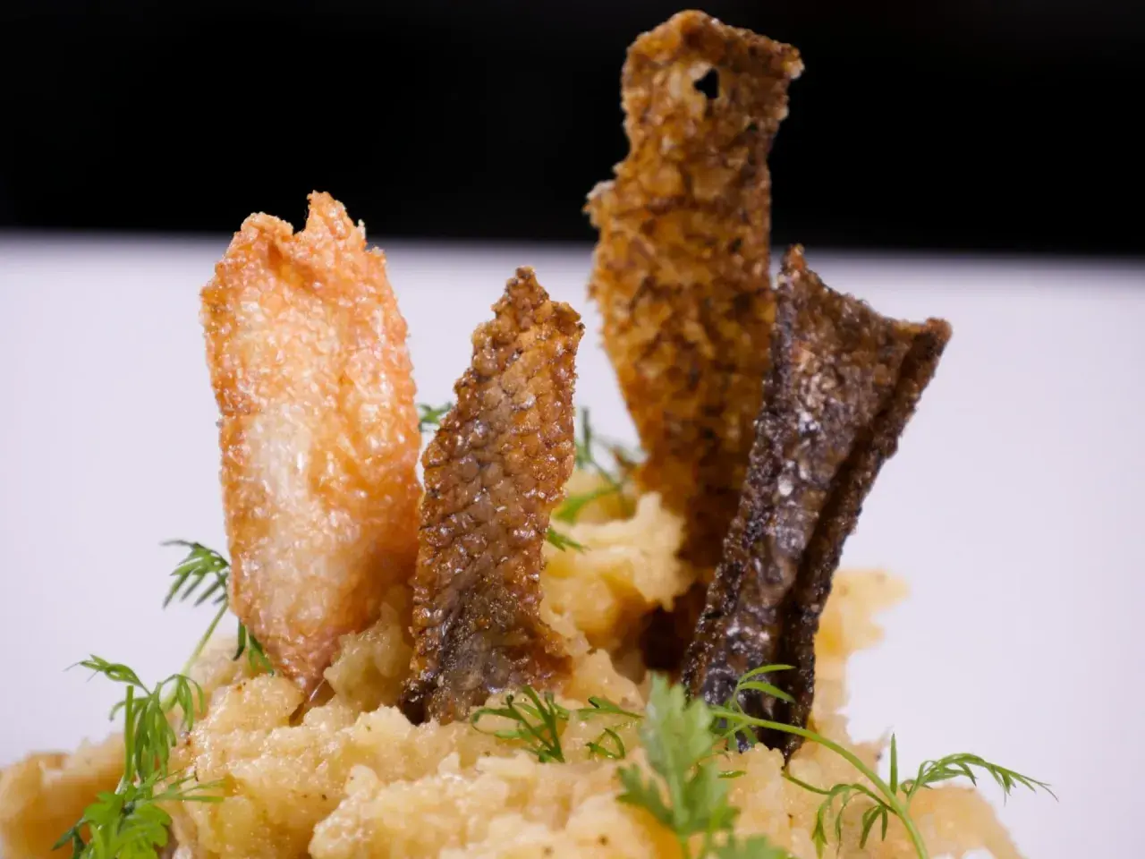 Knusprige Fischhaut-Chips auf cremigem Kartoffelpüree, garniert mit Dill. Ein köstliches Gericht, bei dem man die Fischhaut essen möchte.