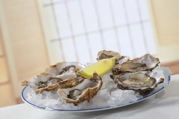 Frische Austern auf Eis mit Zitronenspalte. Die Frage, wie viele Austern man essen darf, bleibt offen.
